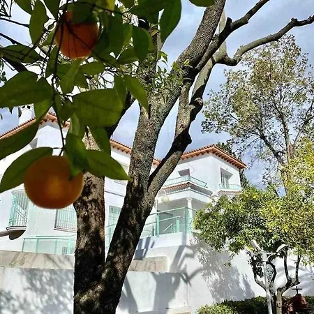 Apartment Nuevo Los Almendros 203 Complejo Turistico